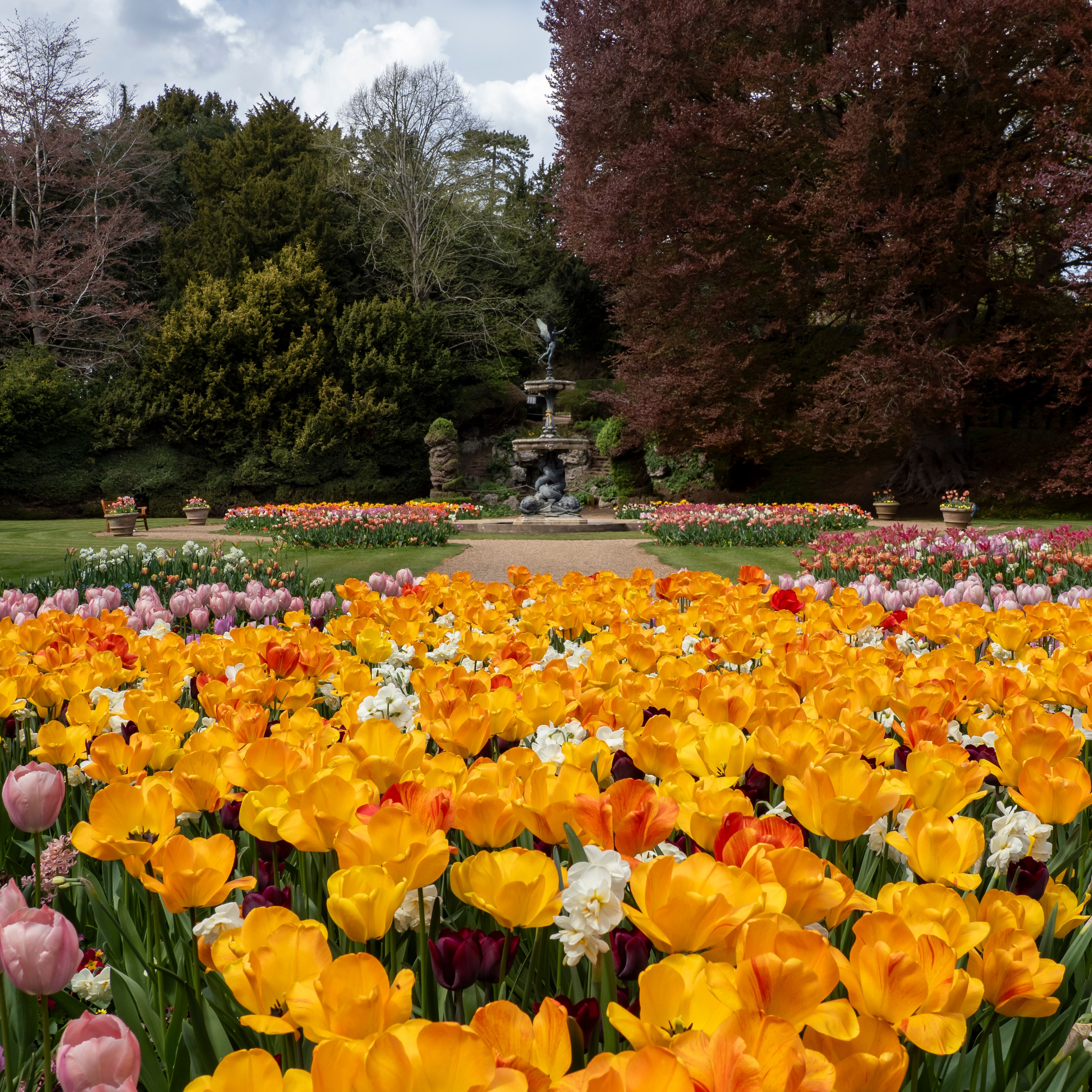 A vibrant garden filled with blooming yellow and pink tulips with a stone fountain in the background.