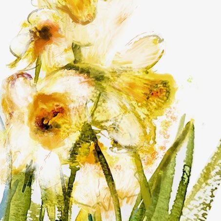 Watercolor painting of yellow and white daffodil flowers with green stems and leaves