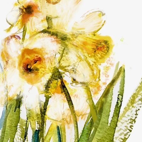 Watercolor painting of yellow and white daffodil flowers with green stems and leaves