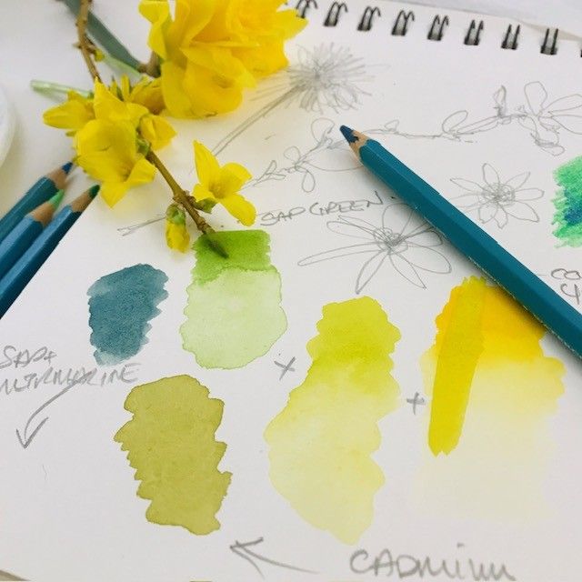 Sketchbook page with watercolor swatches, colored pencils, pencil flower drawings, and yellow flowers