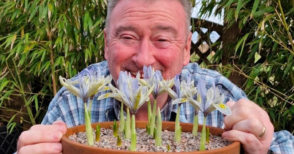 Smiling man holding a clay pot of blooming irises in a garden setting.