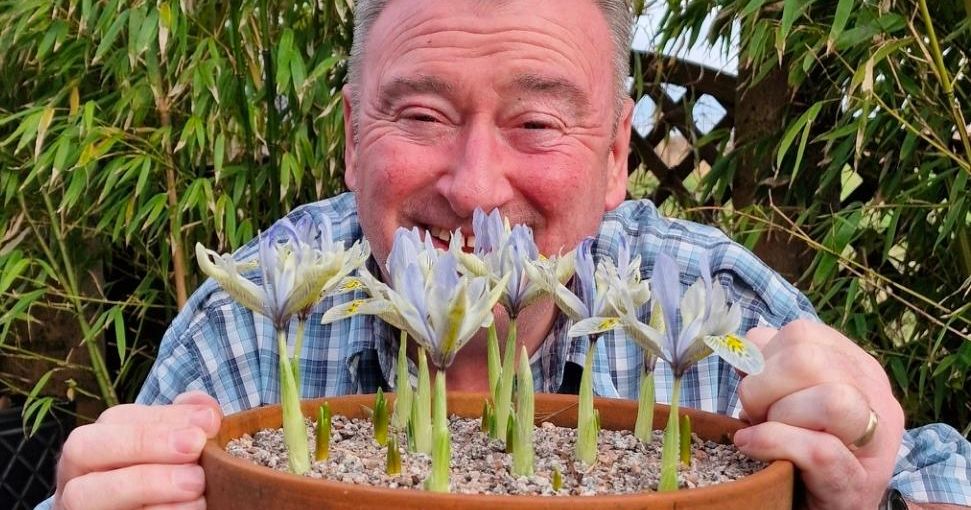 Smiling man holding a clay pot of blooming irises in a garden setting.