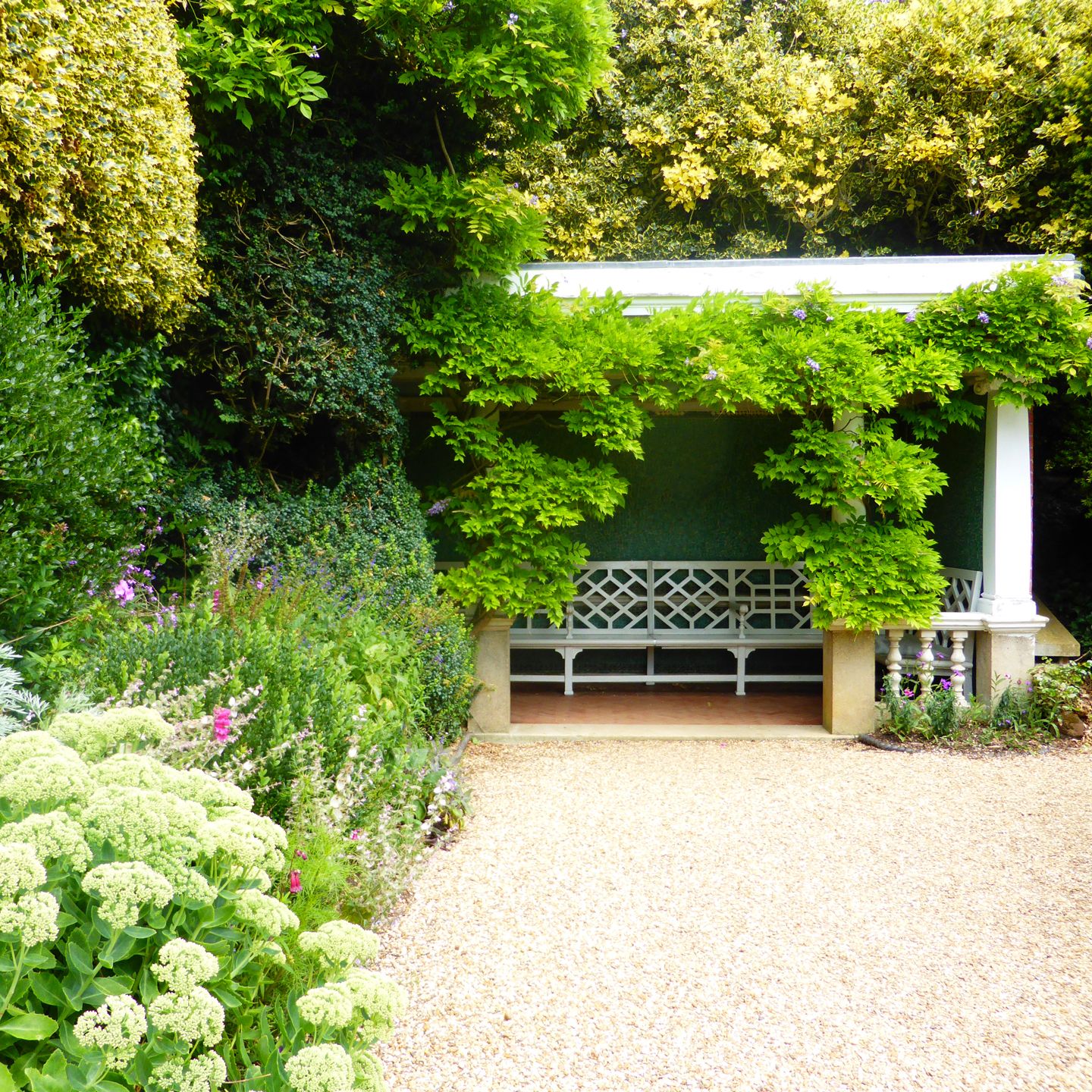 A white bench under a pergola covered in lush green vines in a garden.