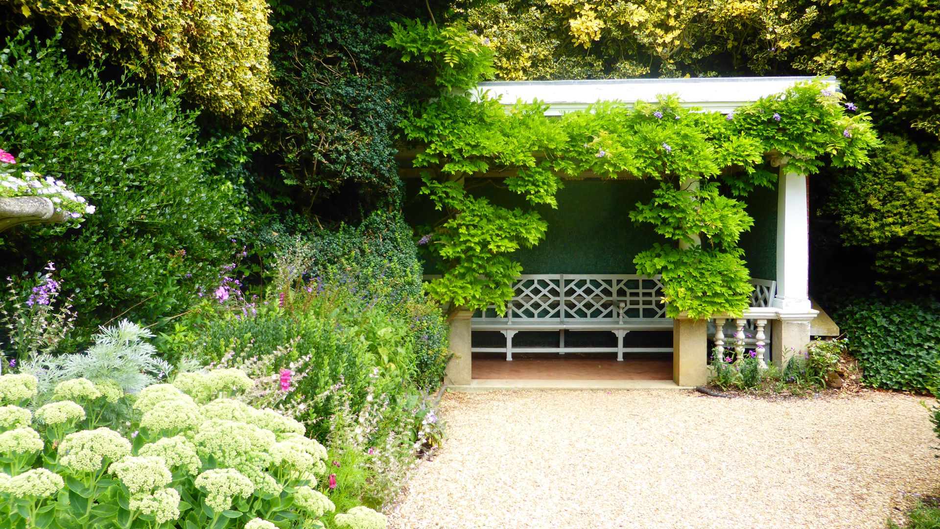 A white bench under a pergola covered in lush green vines in a garden.