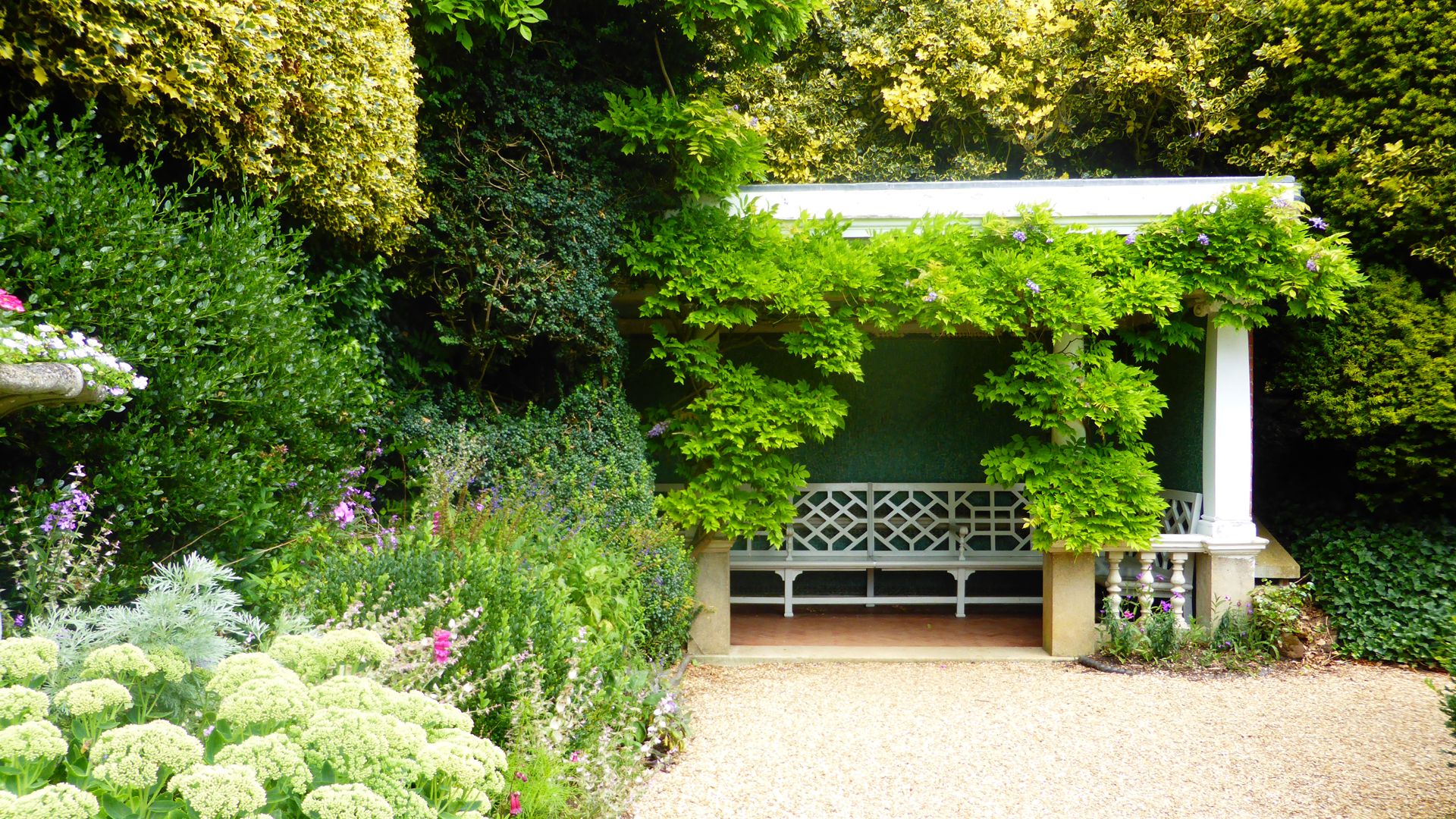 A white bench under a pergola covered in lush green vines in a garden.