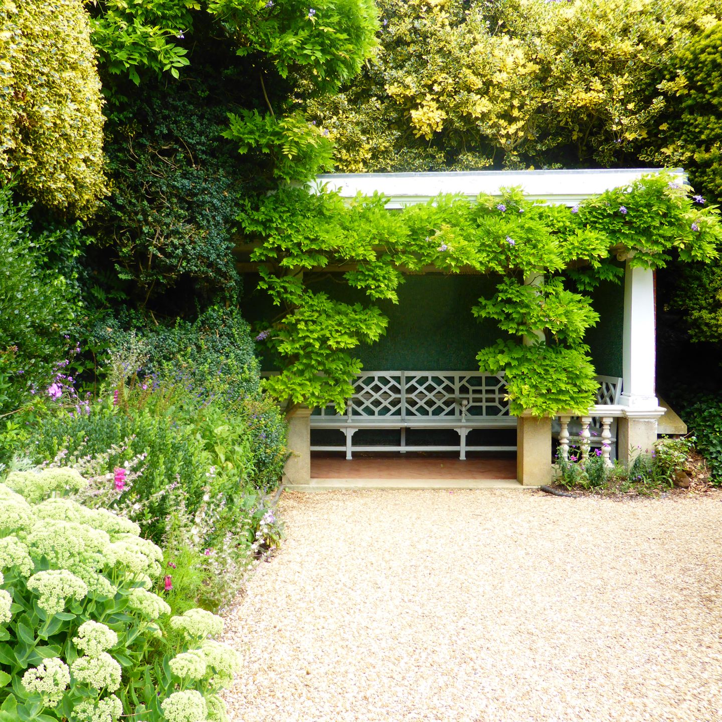 A white bench under a pergola covered in lush green vines in a garden.