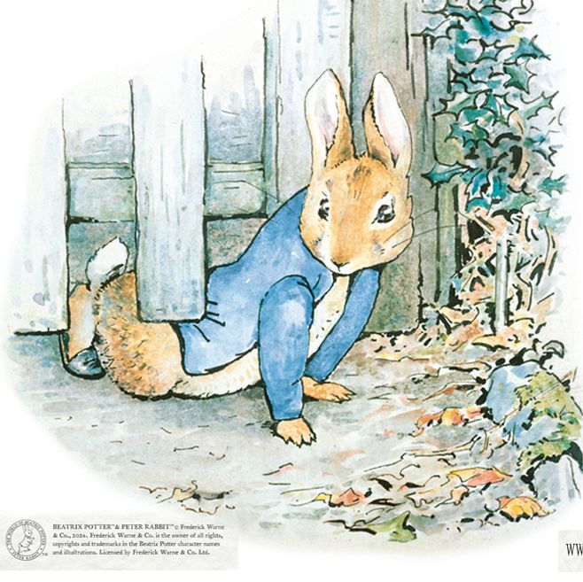 Illustration of a rabbit in a blue jacket crawling under a wooden fence, with the text 'The Tale of Peter Rabbit and Benjamin Bunny by Beatrix Potter'.