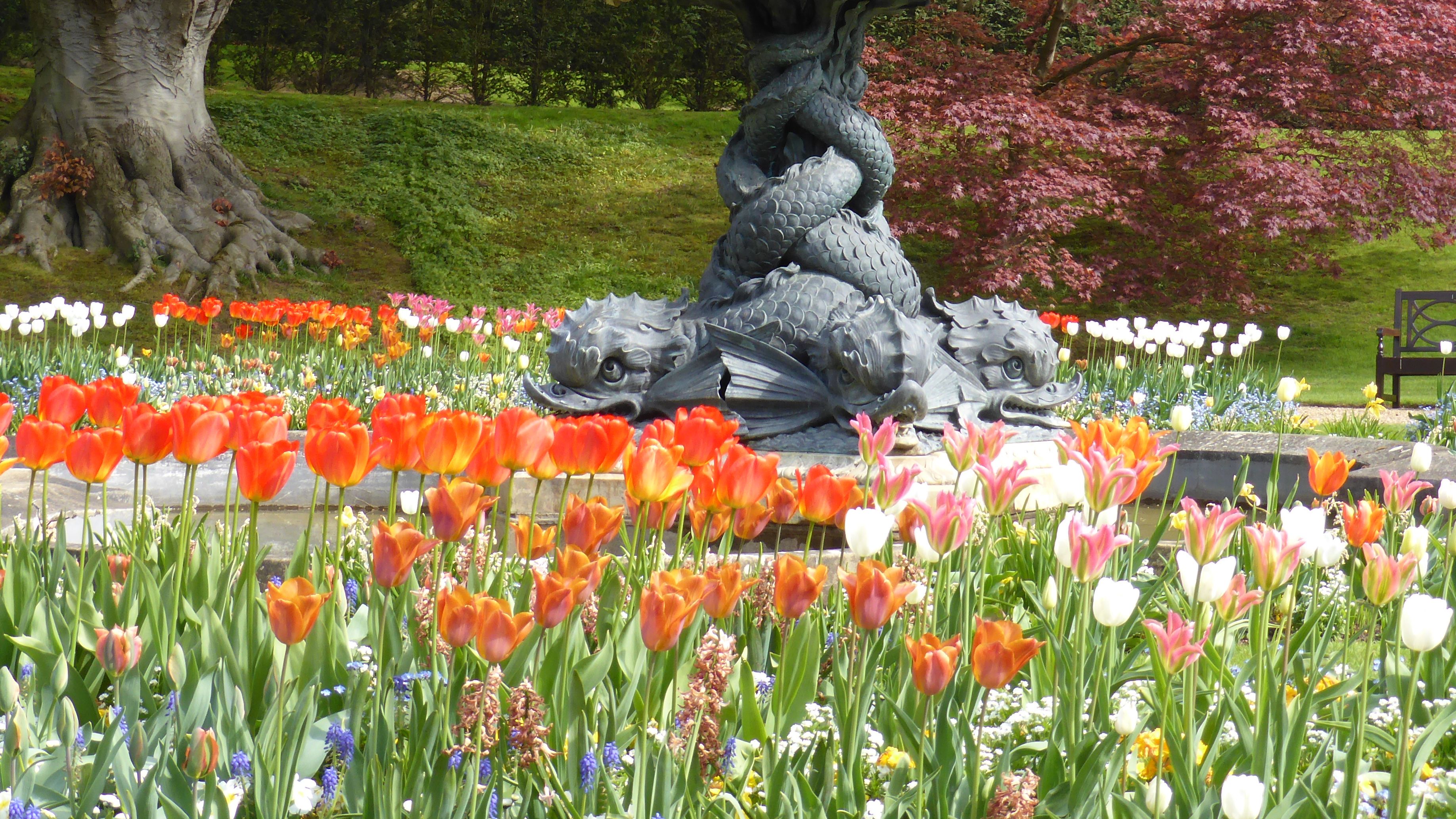 Decorative fountain with an angel statue, surrounded by colorful spring flowers and trees with reddish leaves.