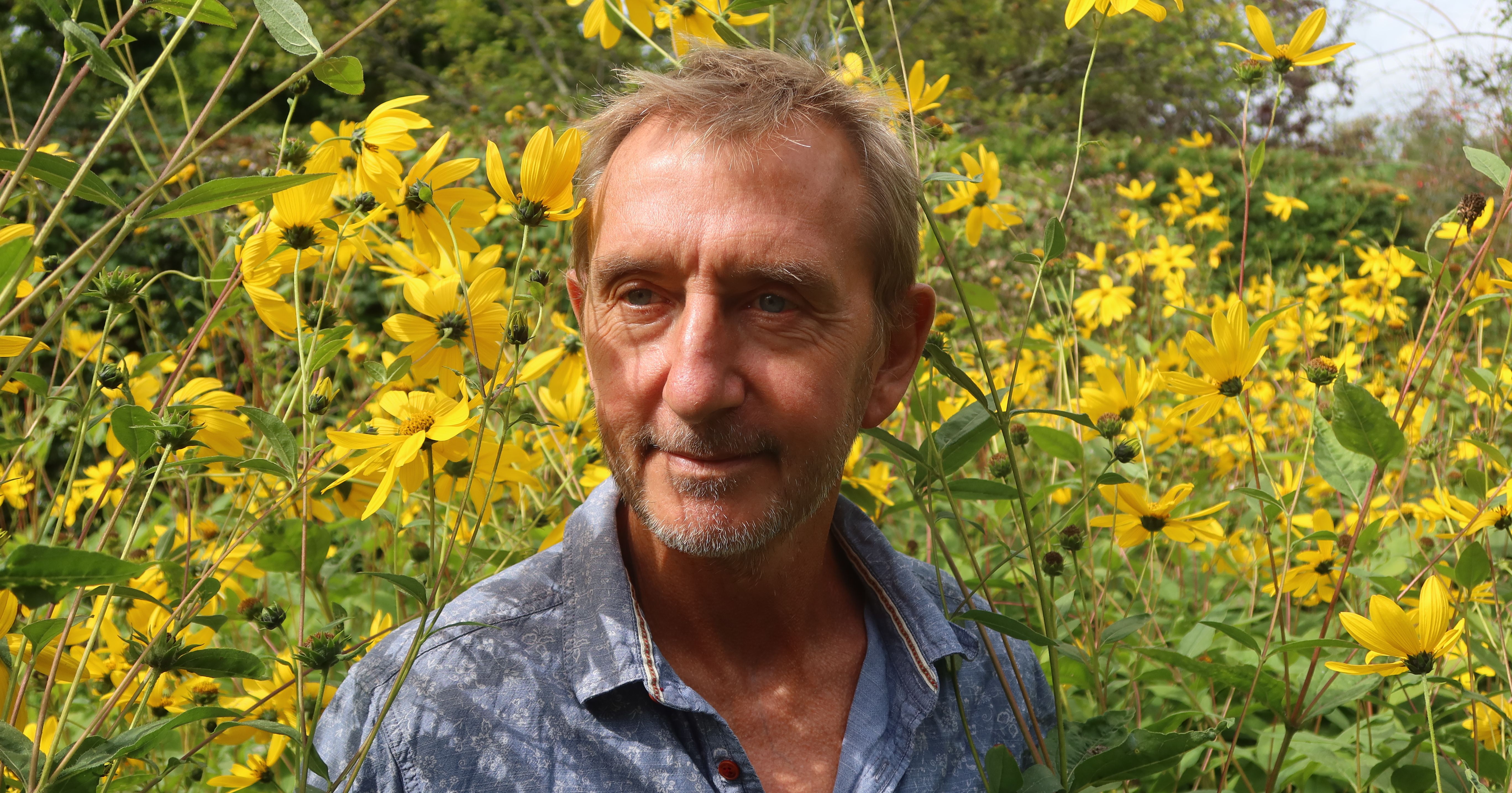 Man standing among tall yellow wildflowers outdoors
