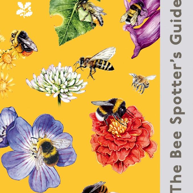 Illustrated book cover showing several bees and bumblebees visiting colourful flowers on a yellow background, titled The Bee Spotter’s Guide by Dave Goulson.
