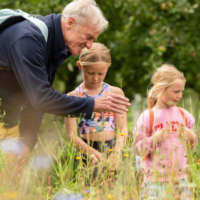 Older man with a backpack showing two young girls wildflowers in a grassy meadow, with a woman standing nearby.