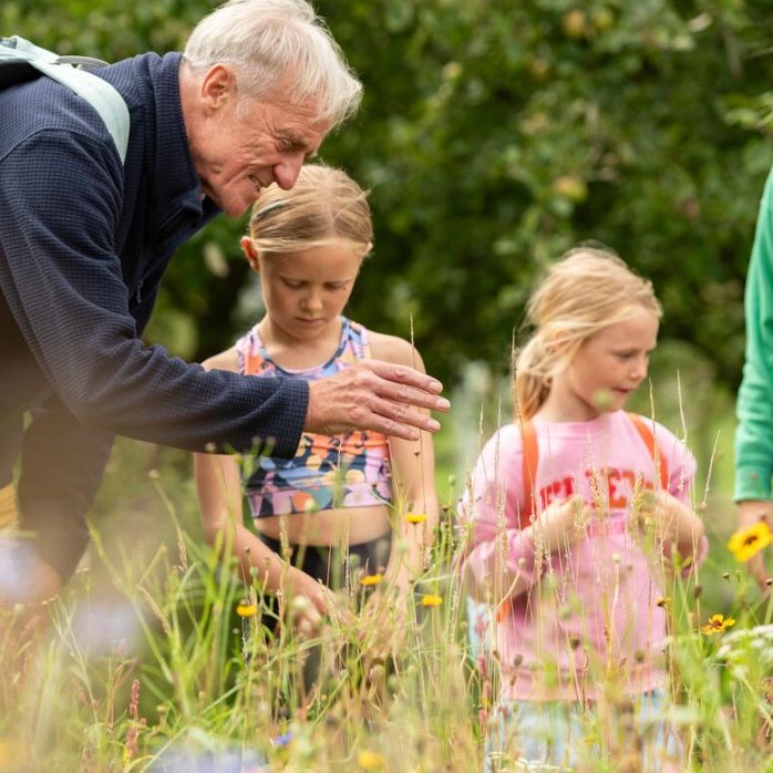 Older man with a backpack showing two young girls wildflowers in a grassy meadow, with a woman standing nearby.