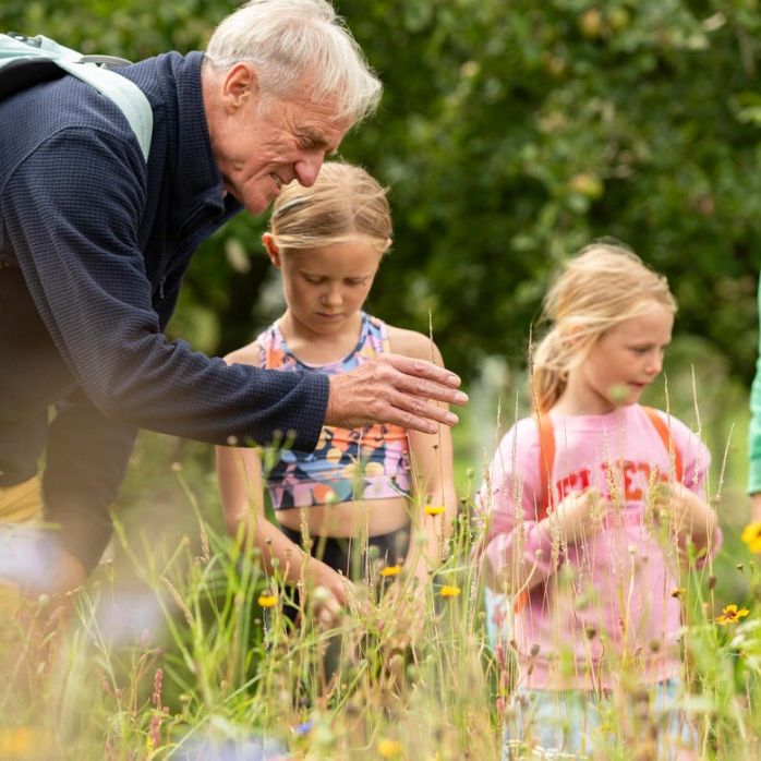 Older man with a backpack showing two young girls wildflowers in a grassy meadow, with a woman standing nearby.