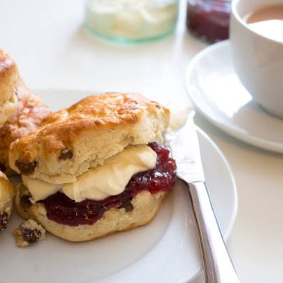 Scones with clotted cream and jam on a plate with a cup of tea
