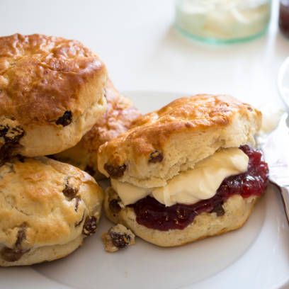 Scones with clotted cream and jam on a plate with a cup of tea