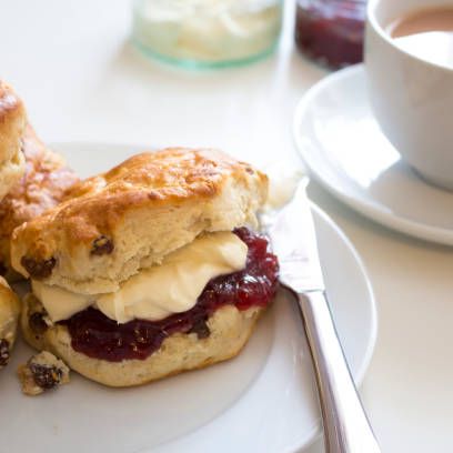 Scones with clotted cream and jam on a plate with a cup of tea
