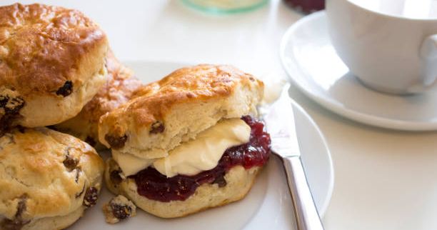Scones with clotted cream and jam on a plate with a cup of tea
