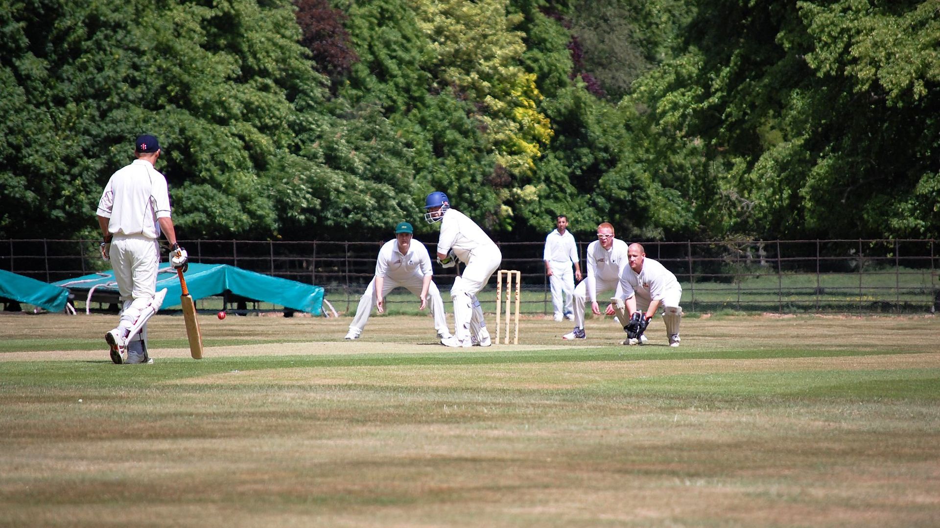 Cricket players on a field during a match