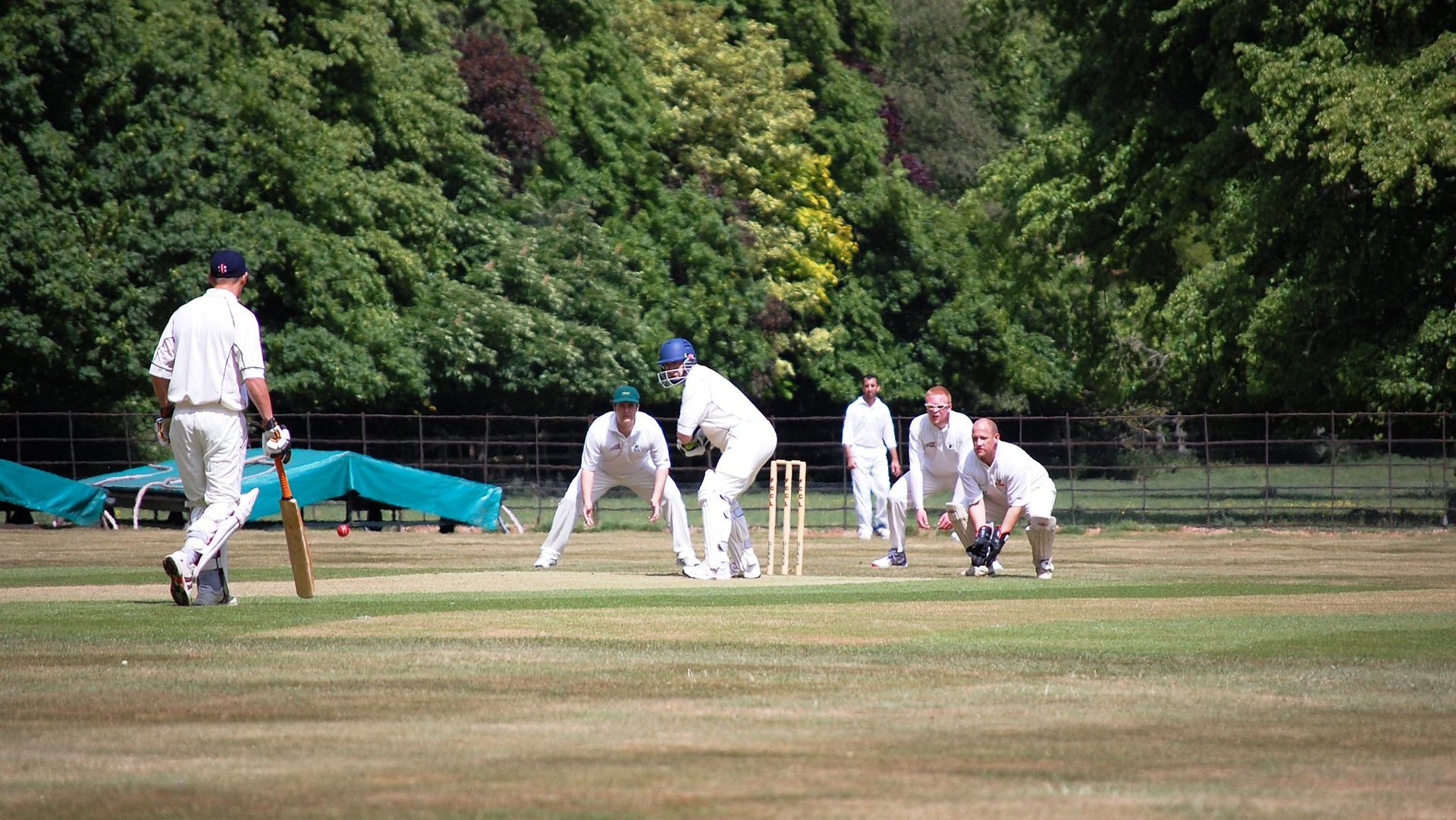Cricket players on a field during a match