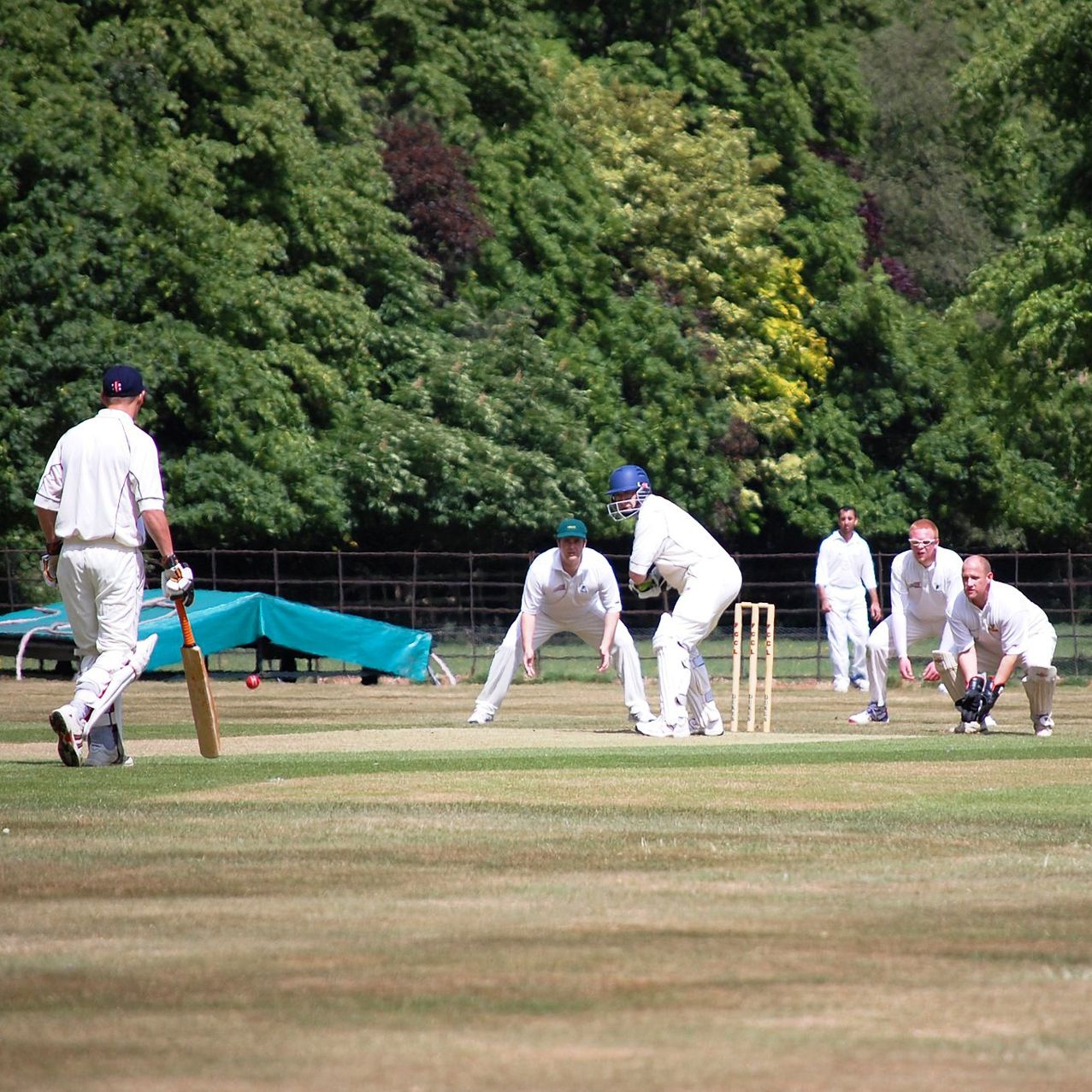 Cricket players on a field during a match