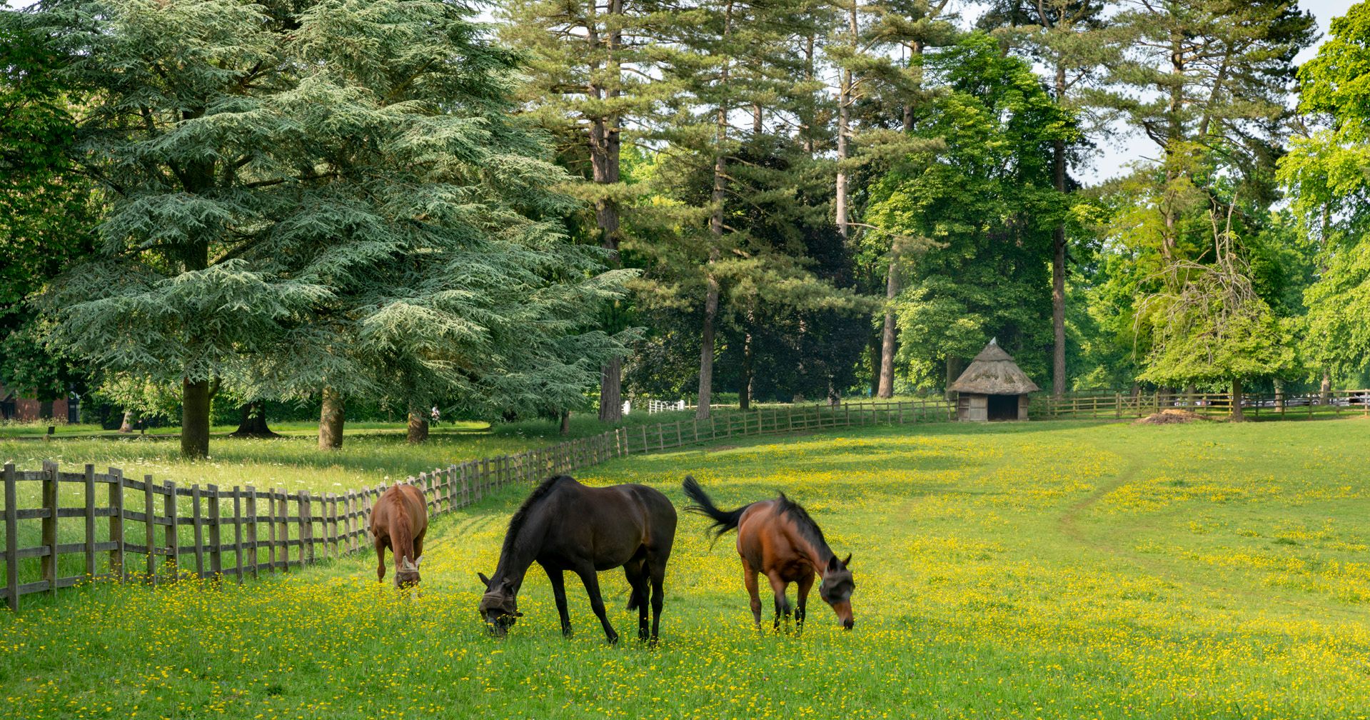 Conservation At Ascott Estate | Ascott House and Gardens