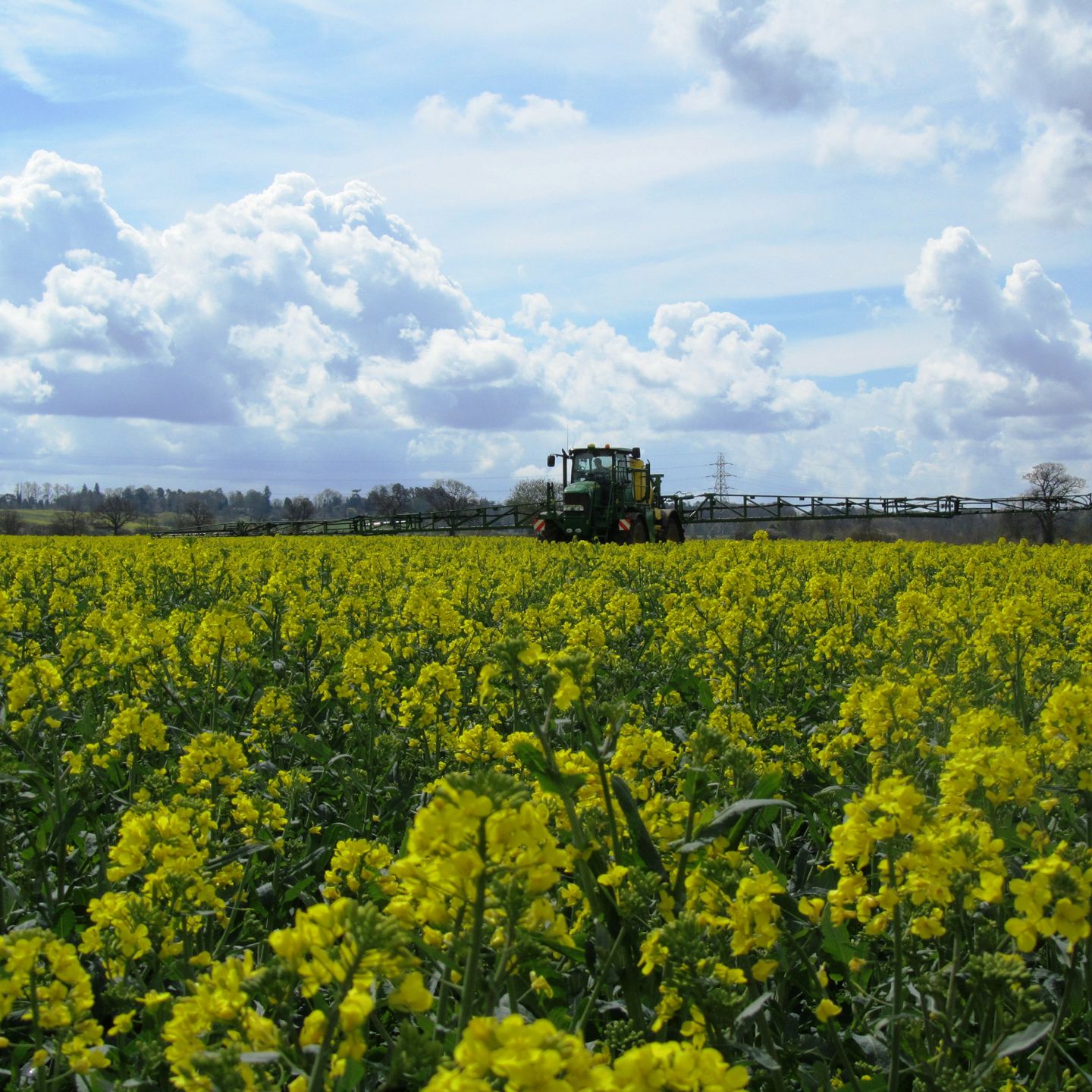 A tractor spraying chemicals in a field of bright yellow flowering crops under a partly cloudy sky.