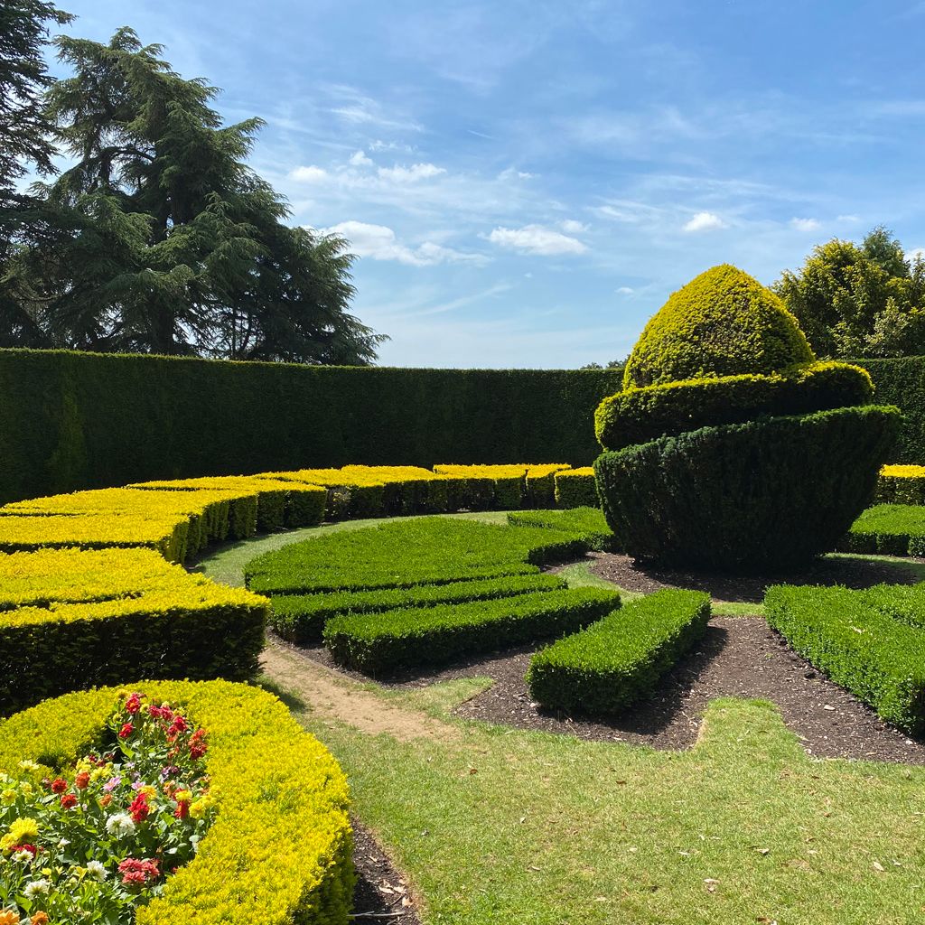 Beautifully manicured garden with geometric hedges and a topiary centerpiece.