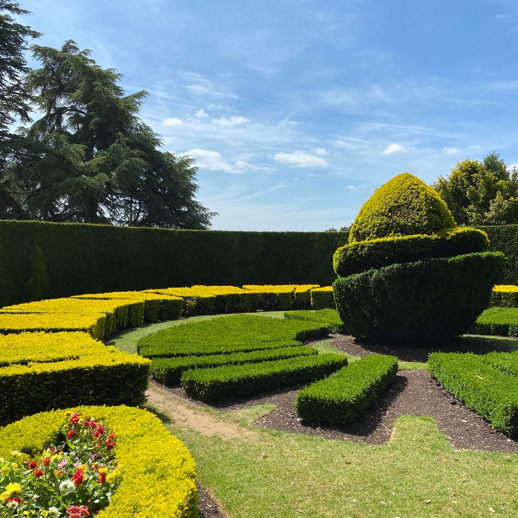Beautifully manicured garden with geometric hedges and a topiary centerpiece.