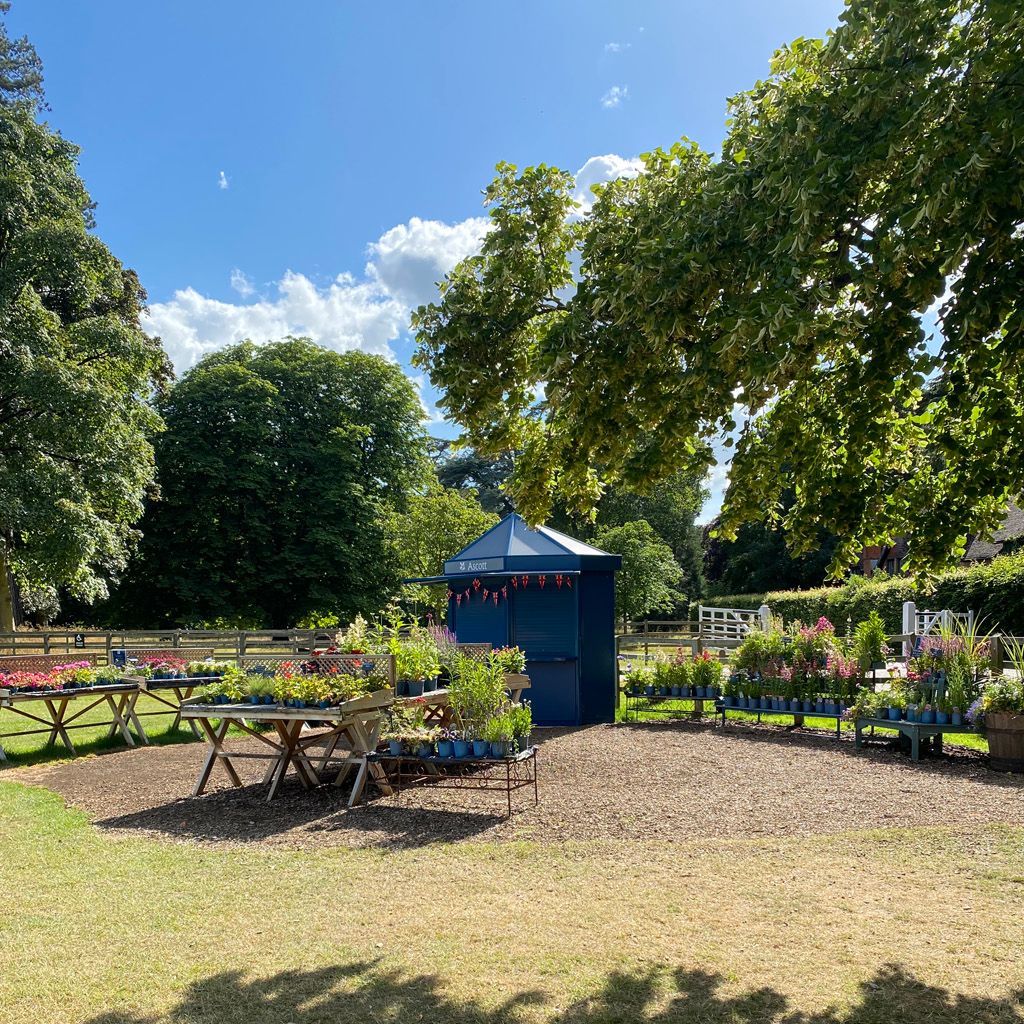Outdoor garden area with a blue shed, wooden tables with potted plants, and surrounding trees under a sunny sky