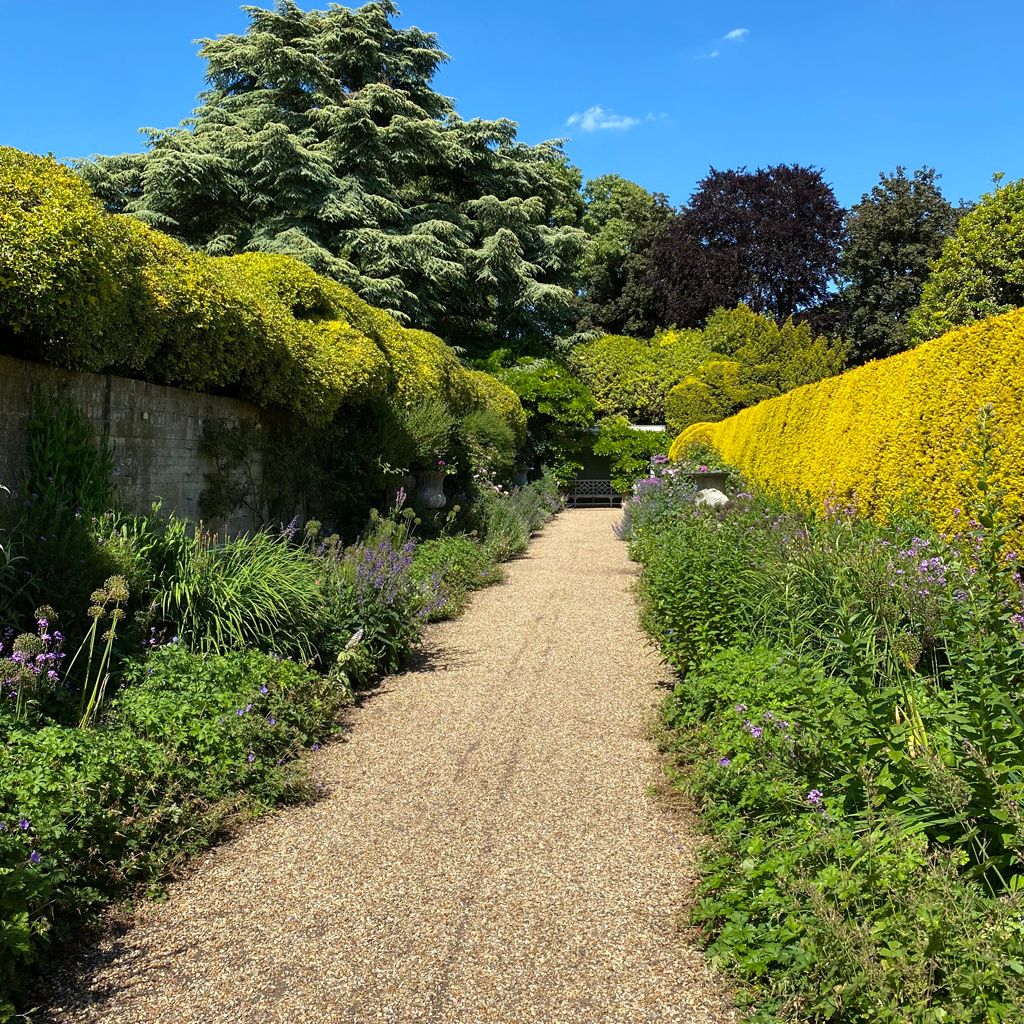 A gravel walkway bordered by lush greenery and flowering plants under a clear blue sky.