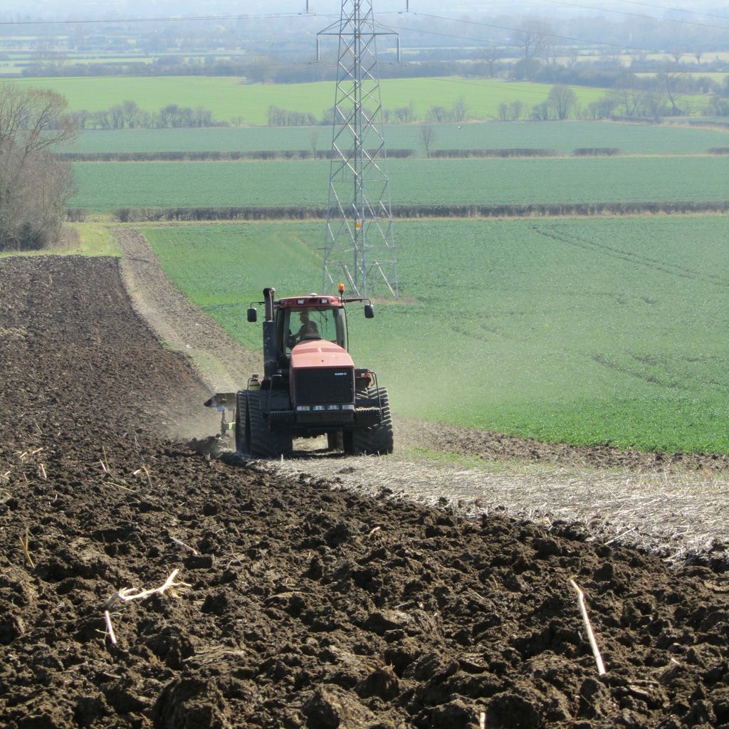 A tractor plowing a large field with green crops and an electricity pylon in the background.
