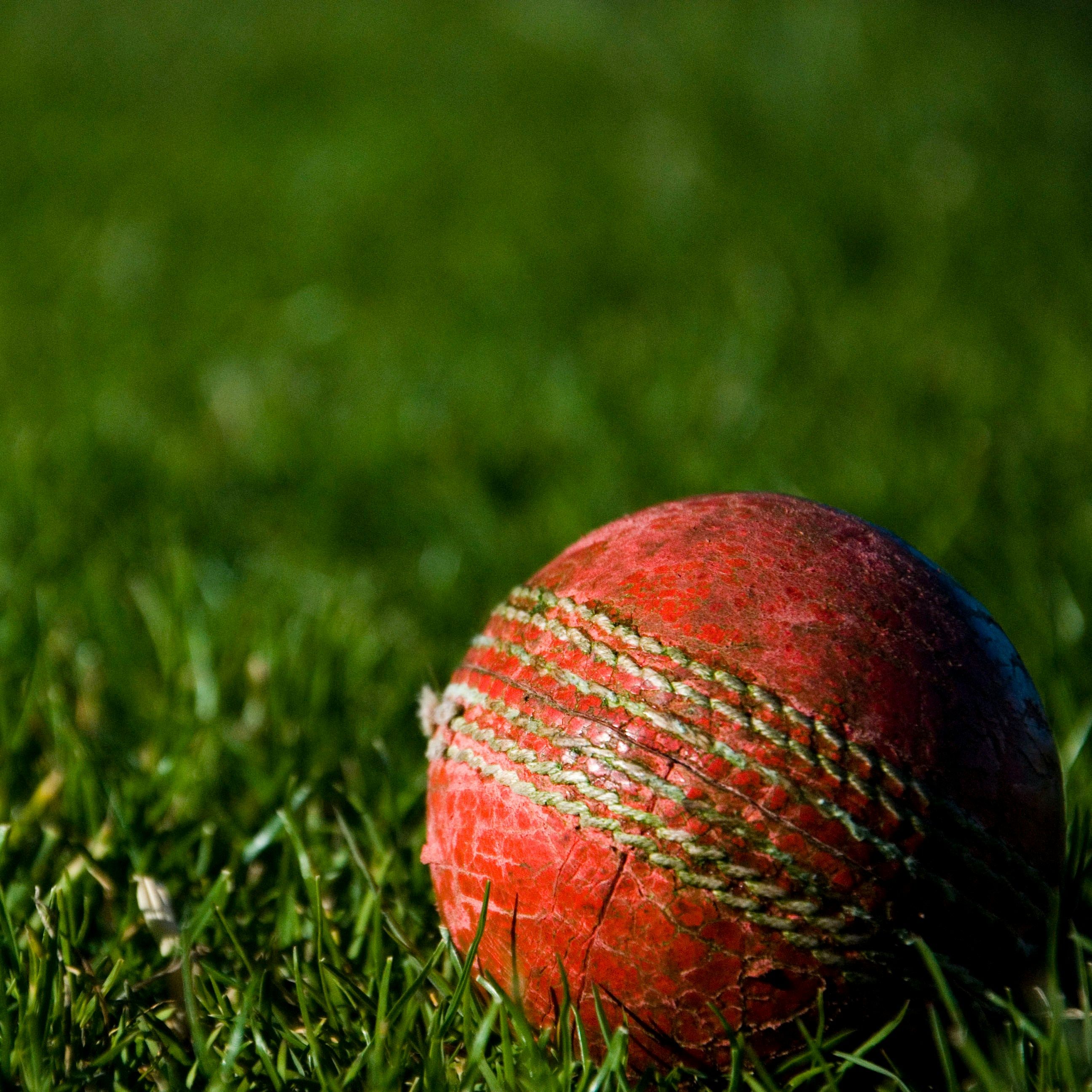 Red cricket ball on green grass