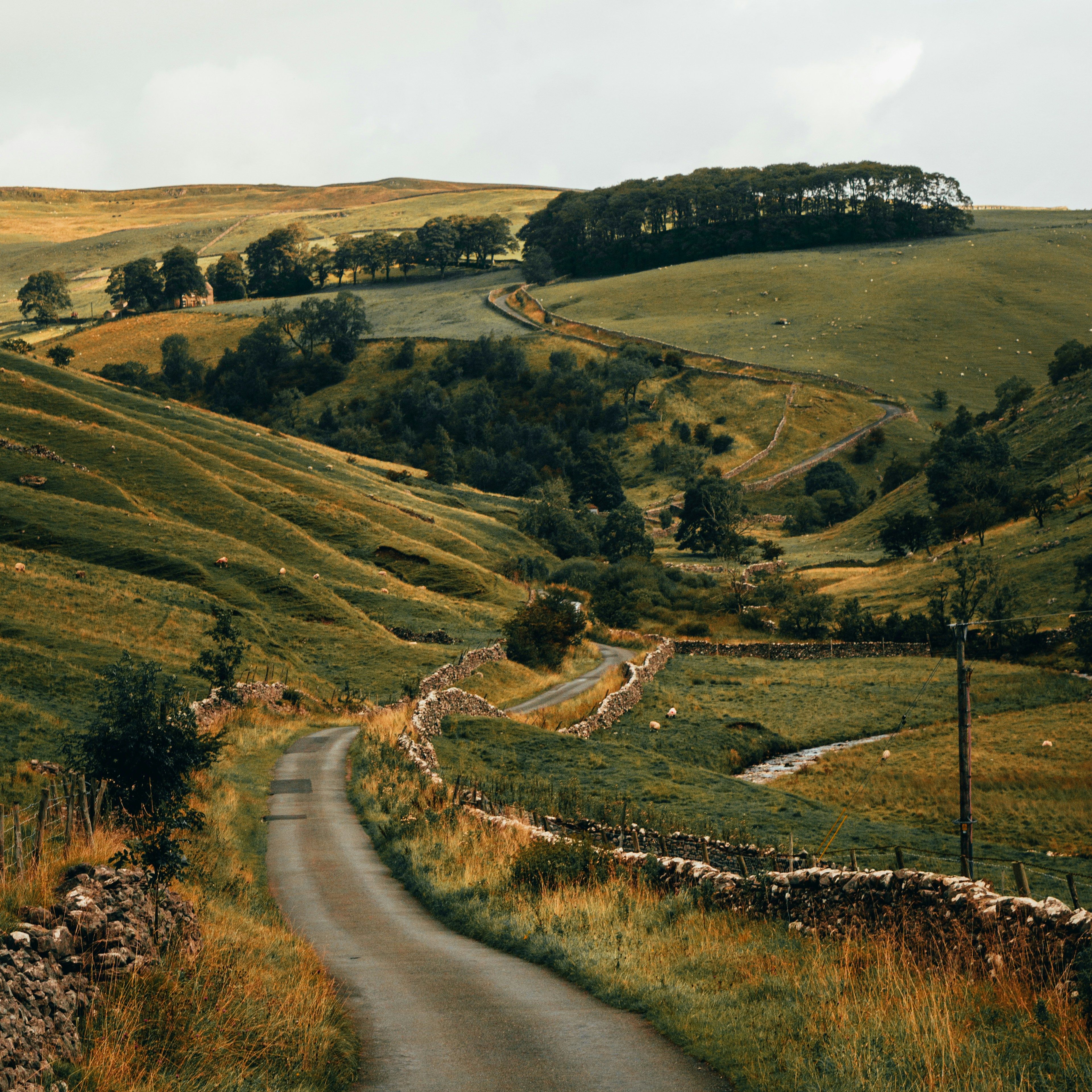 Winding country road through green rolling hills