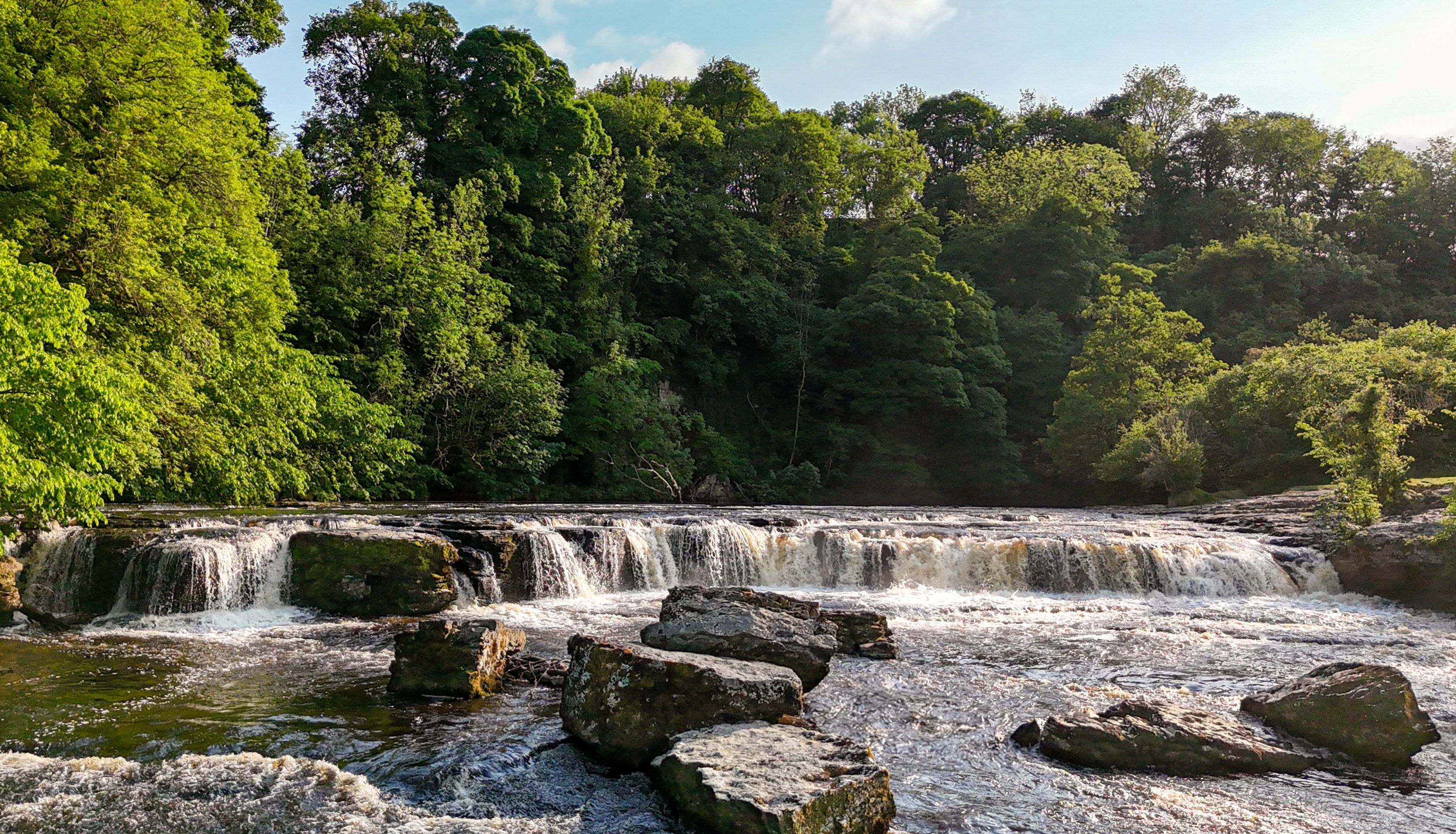Aysgarth Falls cascading over rocks with lush green trees surrounding the river.