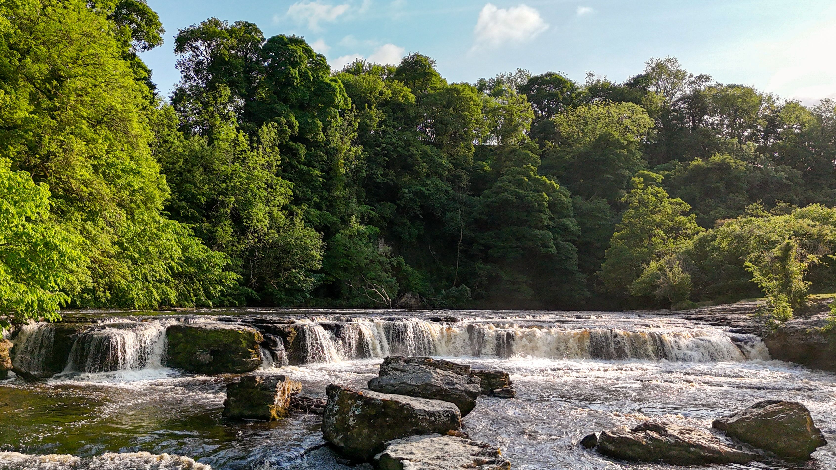 Aysgarth Falls cascading over rocks with lush green trees surrounding the river.
