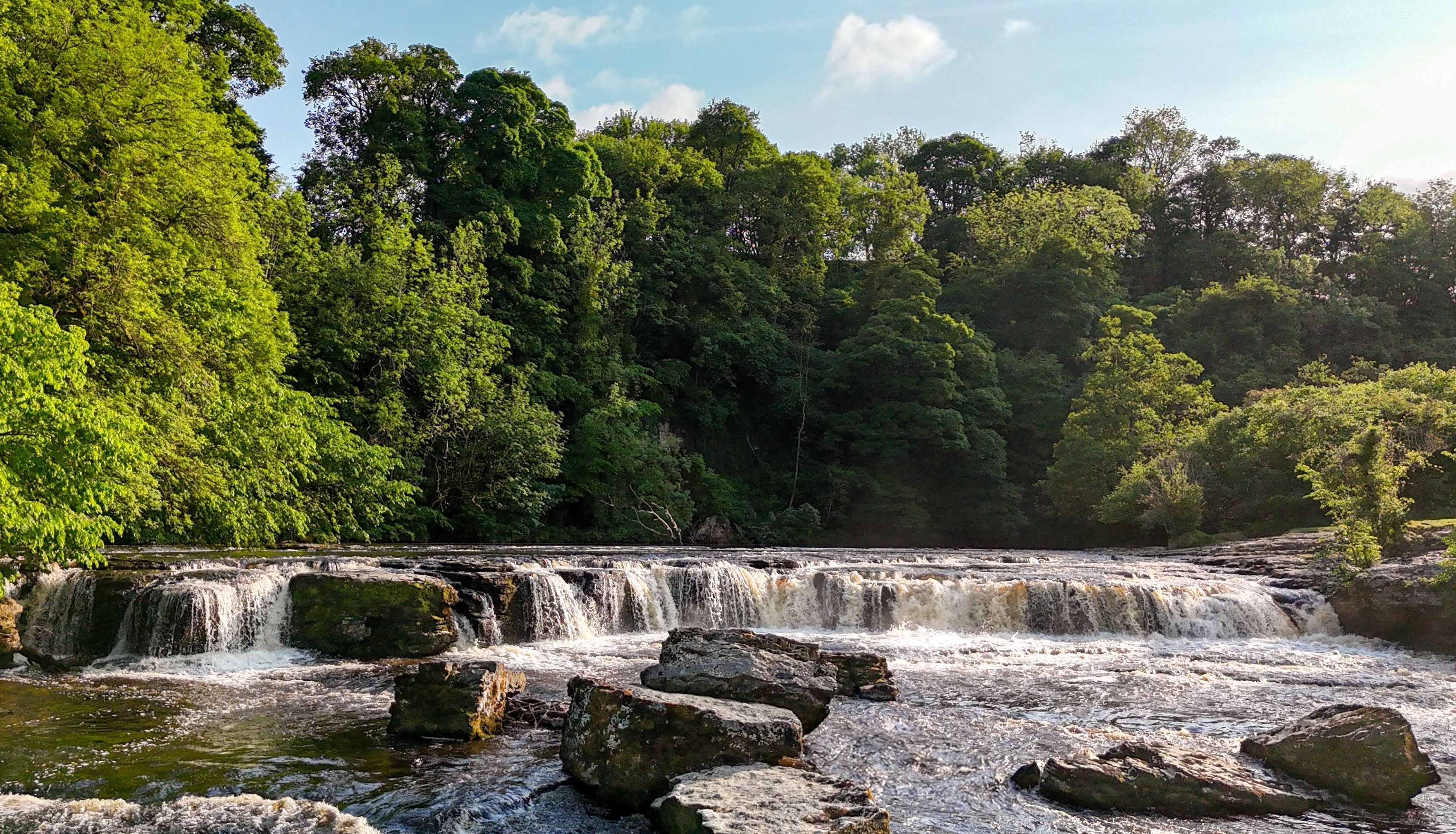 Aysgarth Falls cascading over rocks with lush green trees surrounding the river.