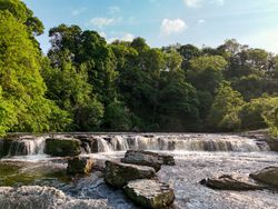 Aysgarth Falls cascading over rocks with lush green trees surrounding the river.