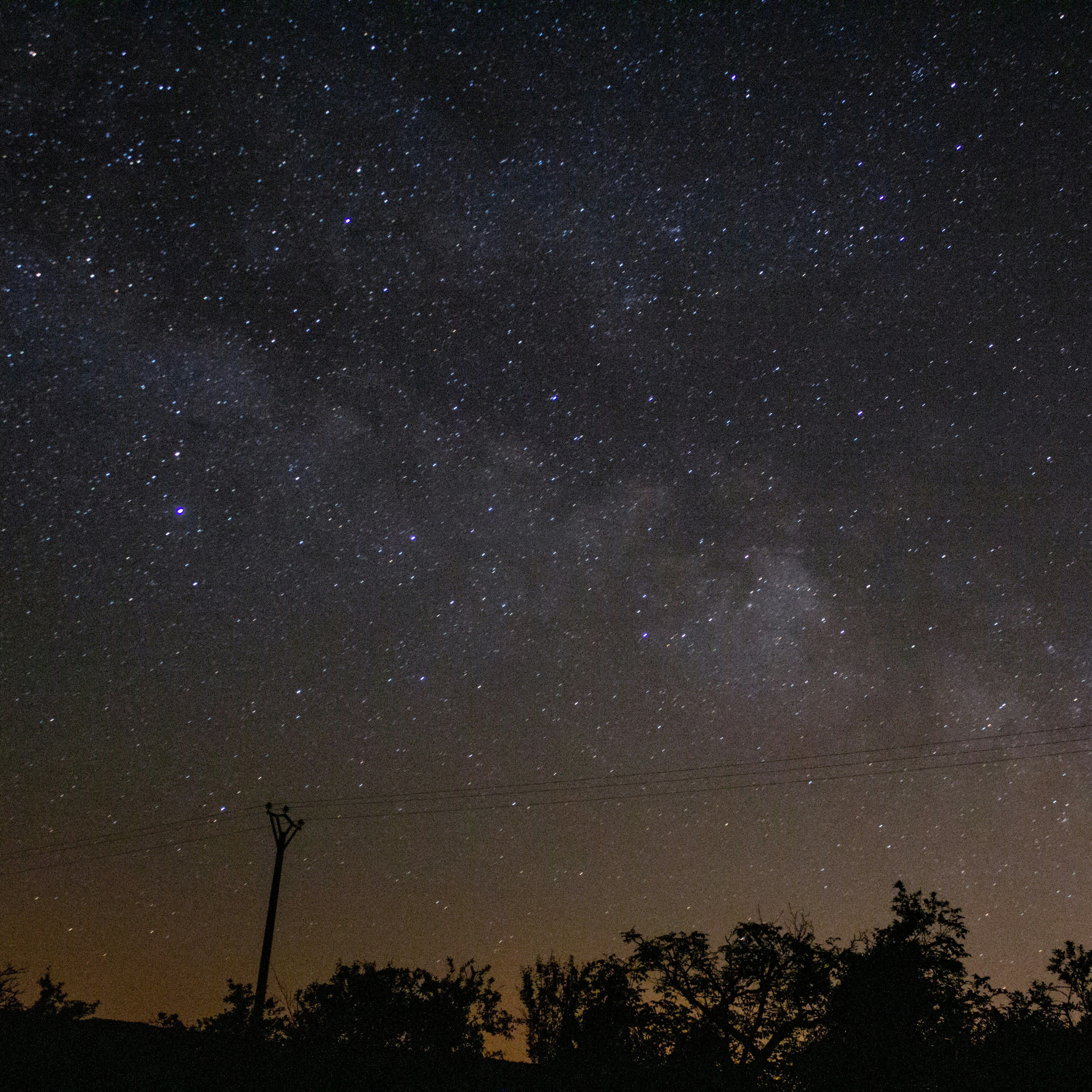 A clear night sky filled with stars above a silhouetted landscape with trees and a utility pole.