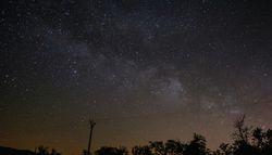 A clear night sky filled with stars above a silhouetted landscape with trees and a utility pole.