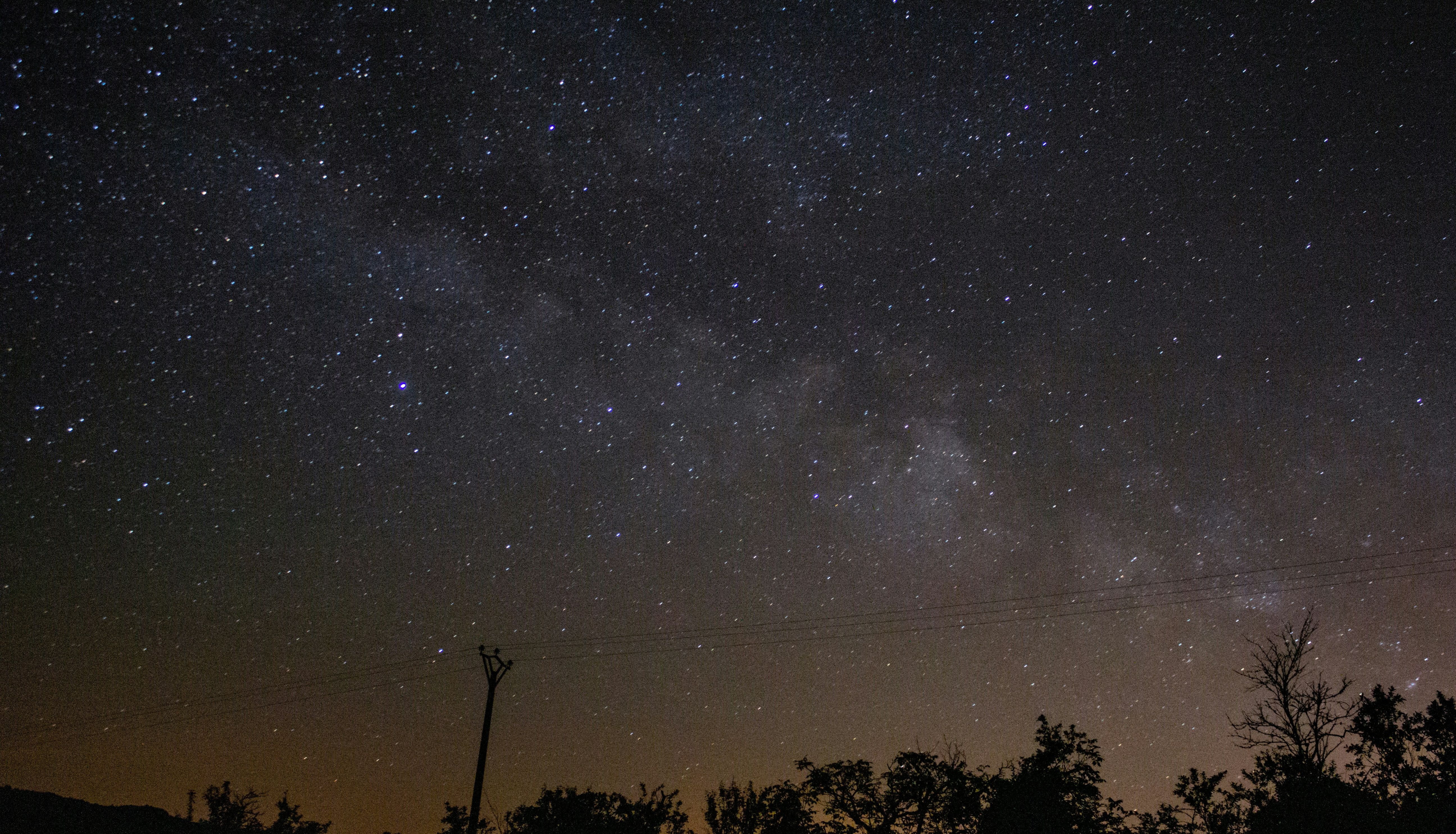 A clear night sky filled with stars above a silhouetted landscape with trees and a utility pole.