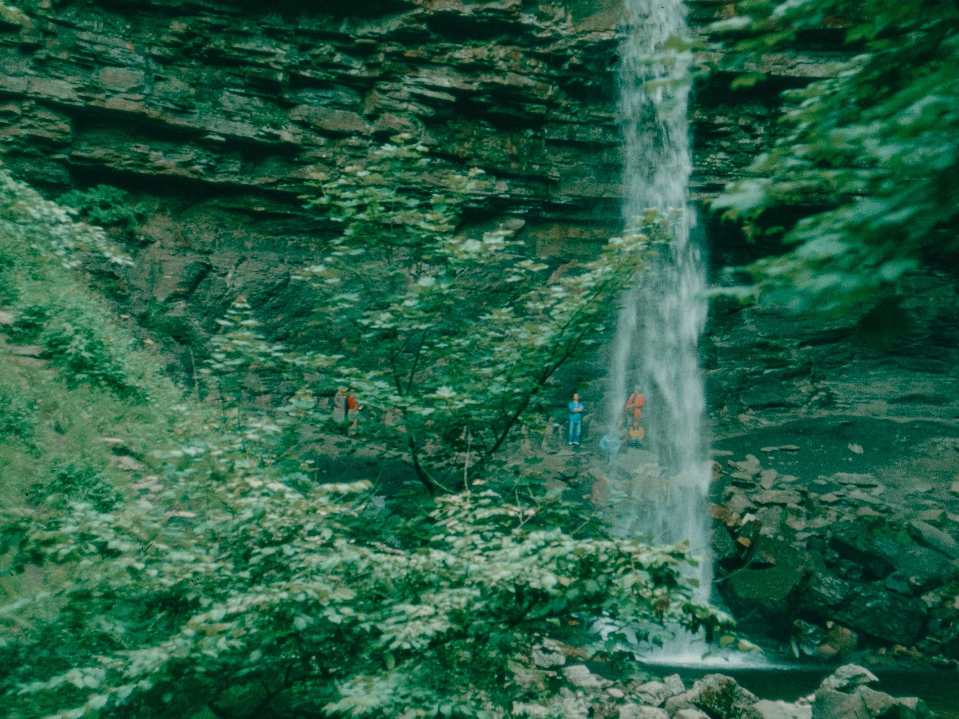Tall waterfall cascading down a rocky cliff surrounded by lush greenery