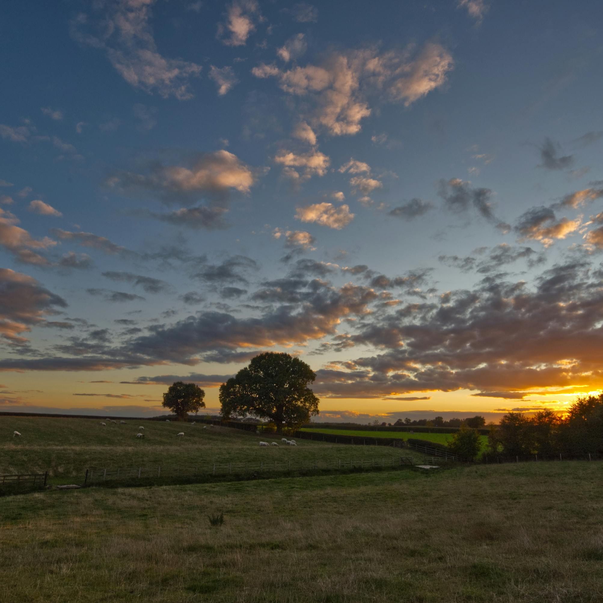 pexels-david-bell-798365391-28628116