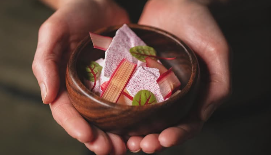 Hansom food bedale plated food in hands with rhubarb and microherbs