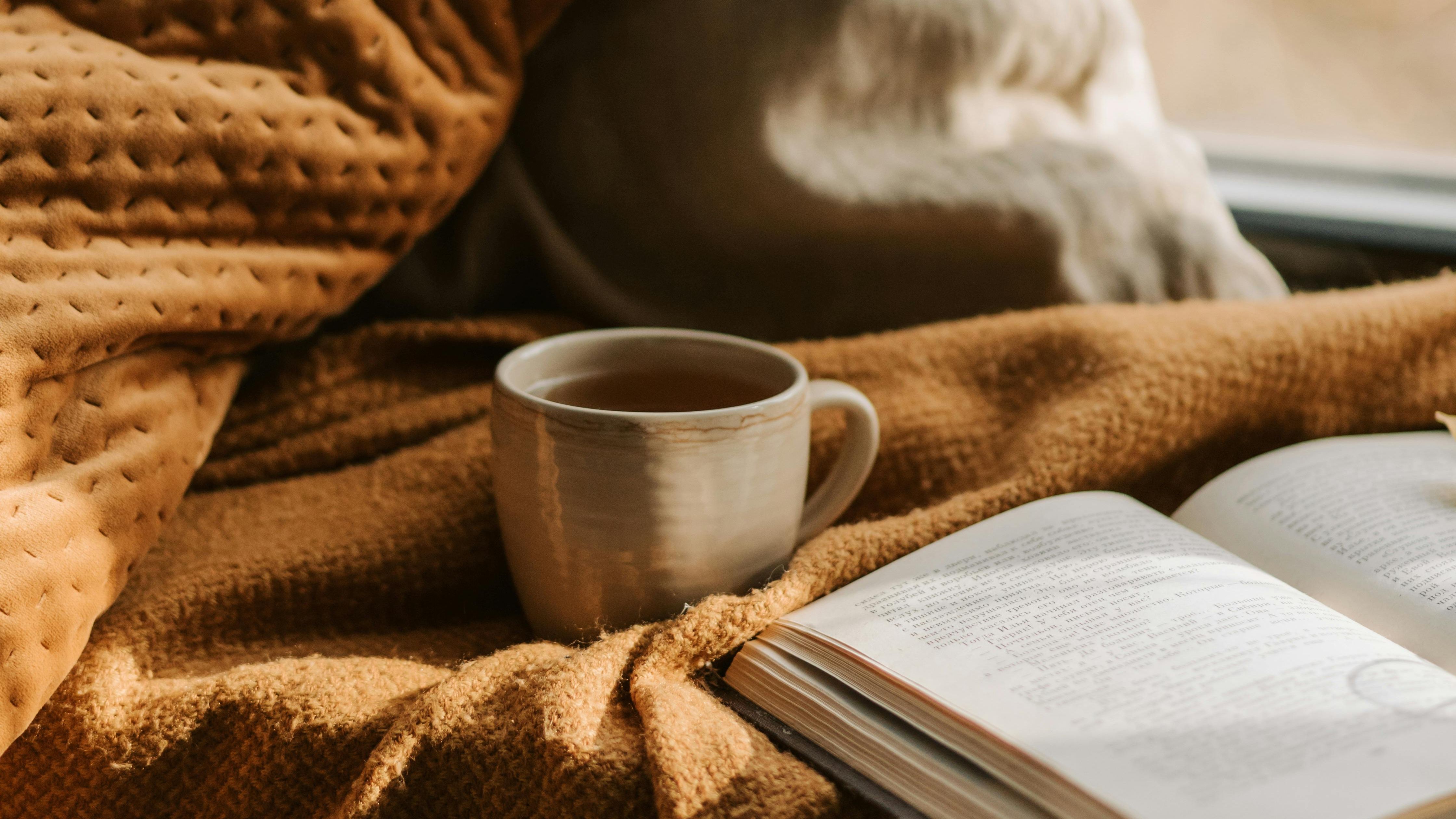 pexels-vlada-karpovich-9969204