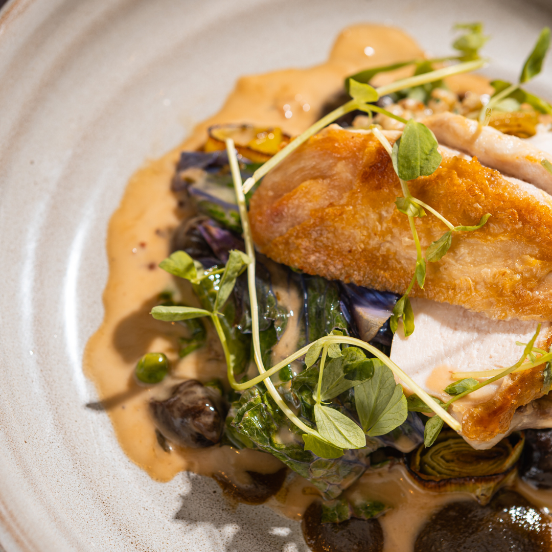 Plated dish with roasted chicken breast, leafy greens, mushrooms, and a creamy sauce, garnished with microgreens.