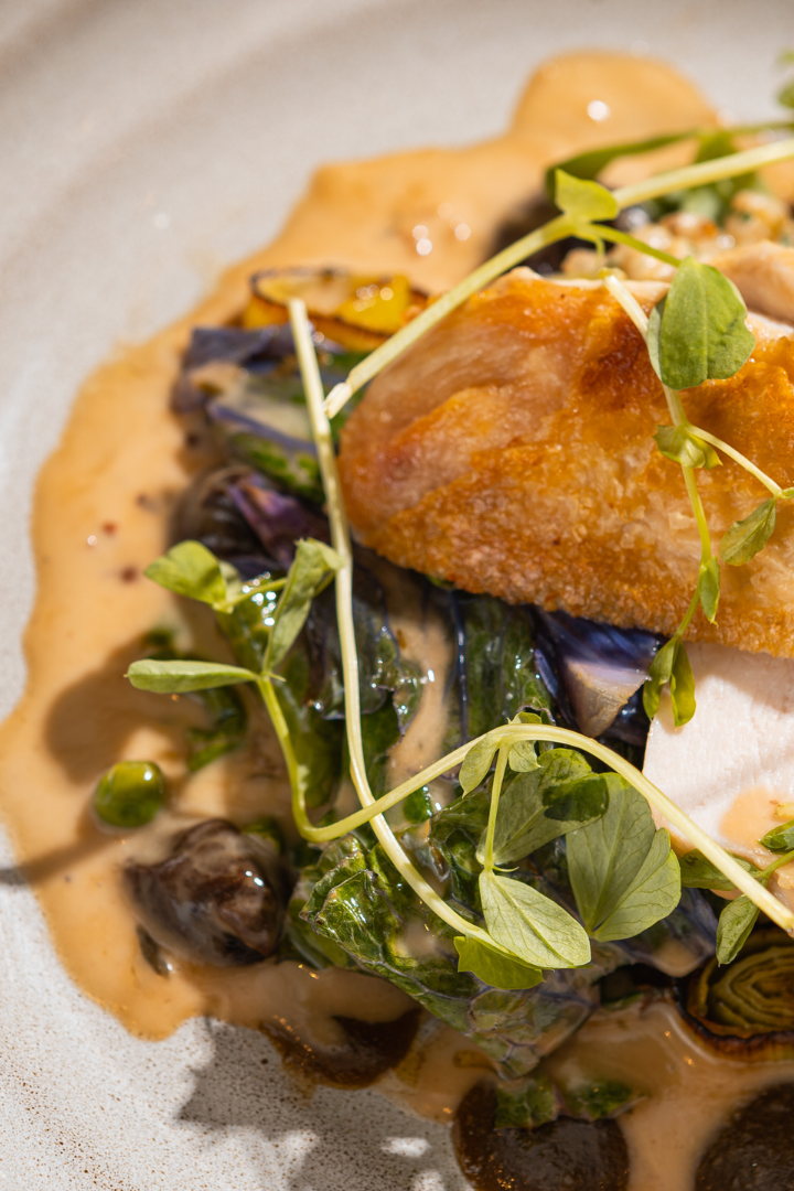 Plated dish with roasted chicken breast, leafy greens, mushrooms, and a creamy sauce, garnished with microgreens.