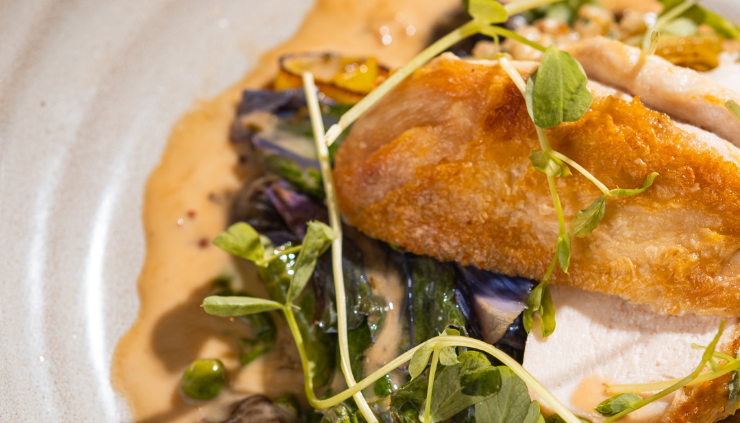Plated dish with roasted chicken breast, leafy greens, mushrooms, and a creamy sauce, garnished with microgreens.