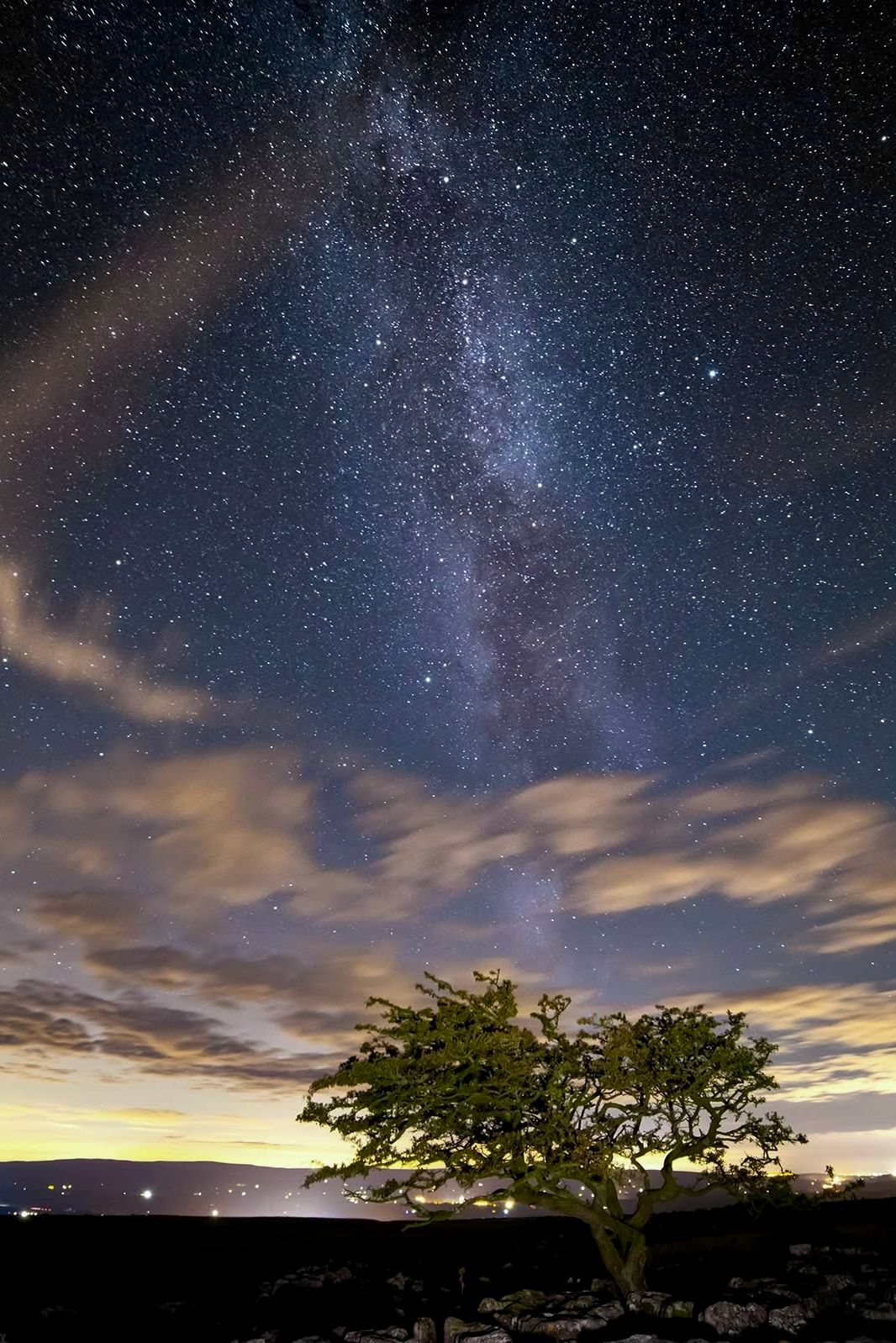 Lone tree under a star-filled night sky with the Milky Way visible