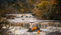 Scenic autumn waterfall with colorful trees and cascading water