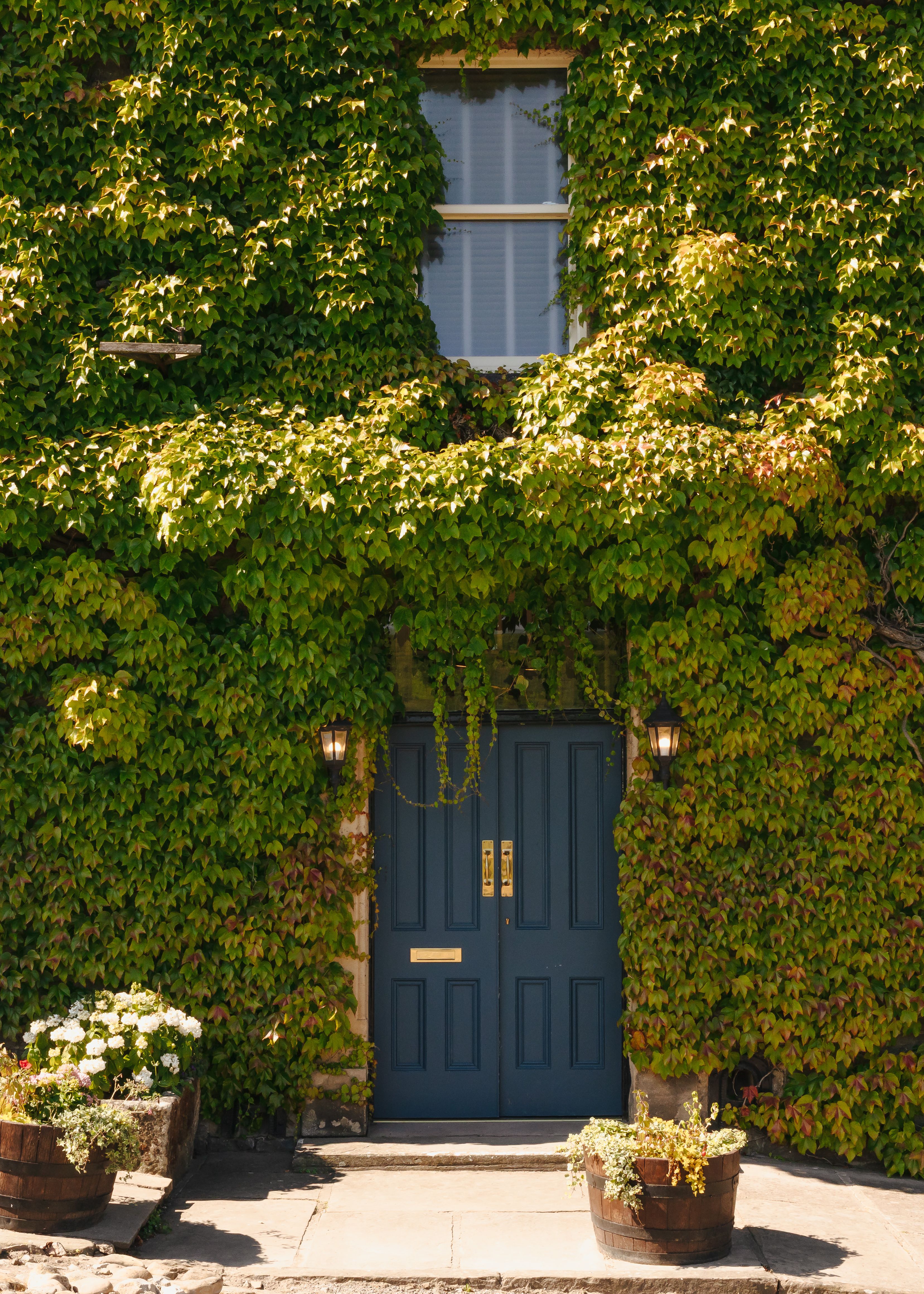 Hotel entrance covered in green ivy with blue double doors and potted plants outside